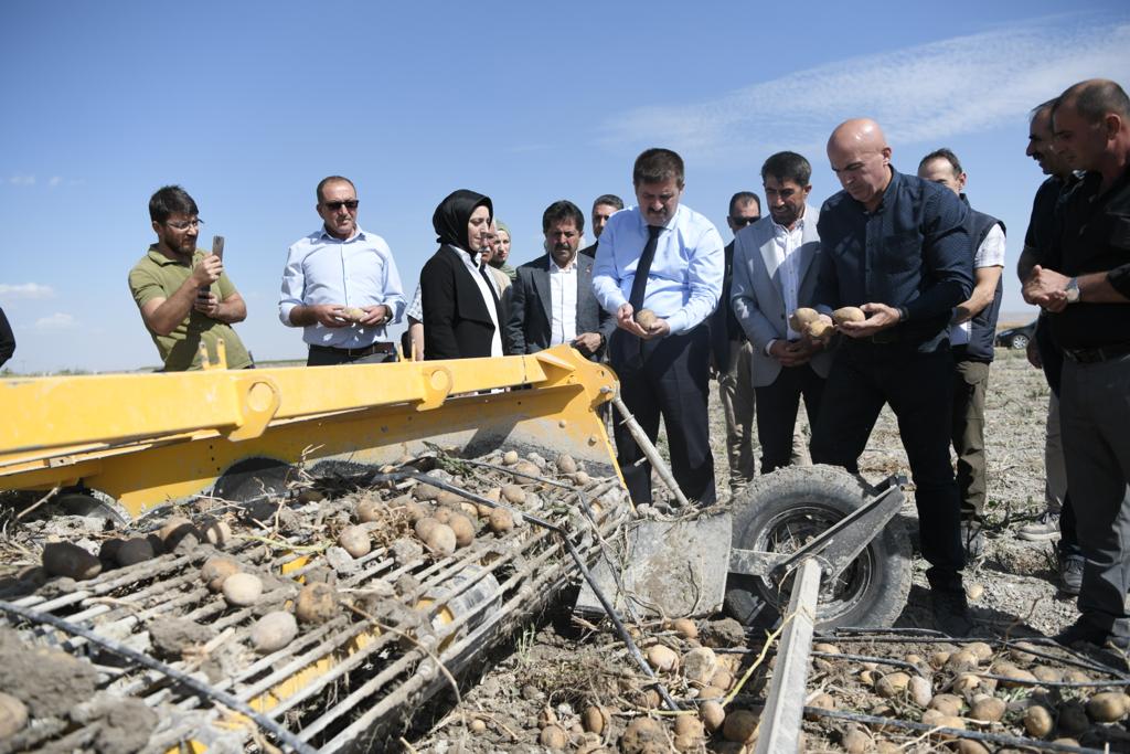 Valimiz H. Engin Sarıibrahim Patates Hasadına Katıldı