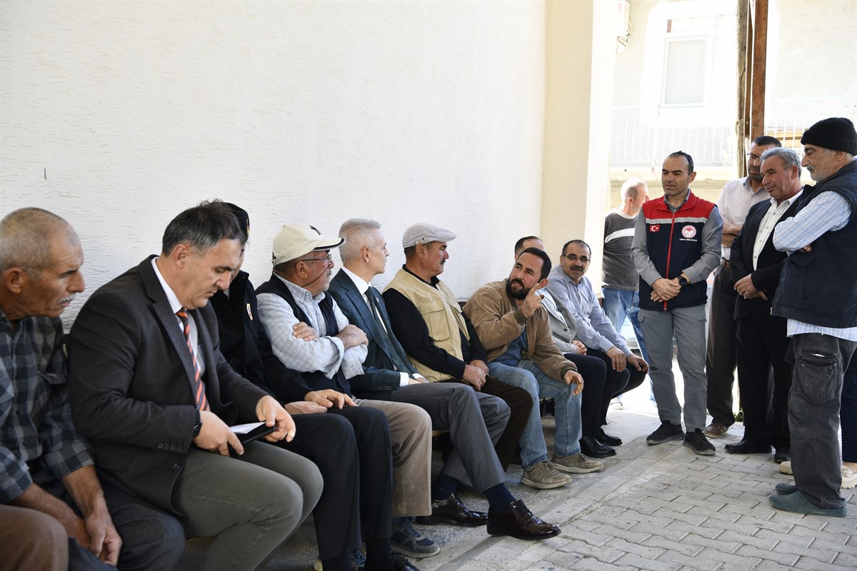 Valimiz Sayın Mehmet Fatih Çiçekli Bucakkışla Köyünde Zeytin Hasadına Katıldı
