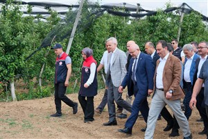 Vali ÇİÇEKLİ TBMM Zirai Don Komisyonu Üyeleri İle Birlikte Zirai Dondan Etkilenen Elma Bahçelerinde İncelemelerde Bulundu